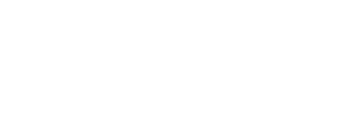 Indesso logo white