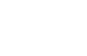 dsm white logo-min