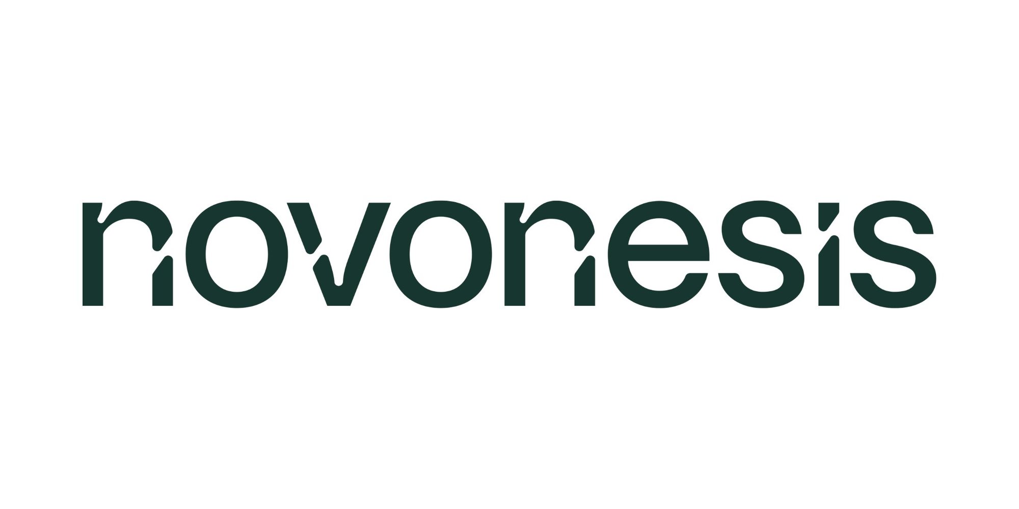novonesis logo