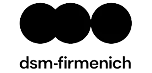 veeva-dsm-black-logo-image