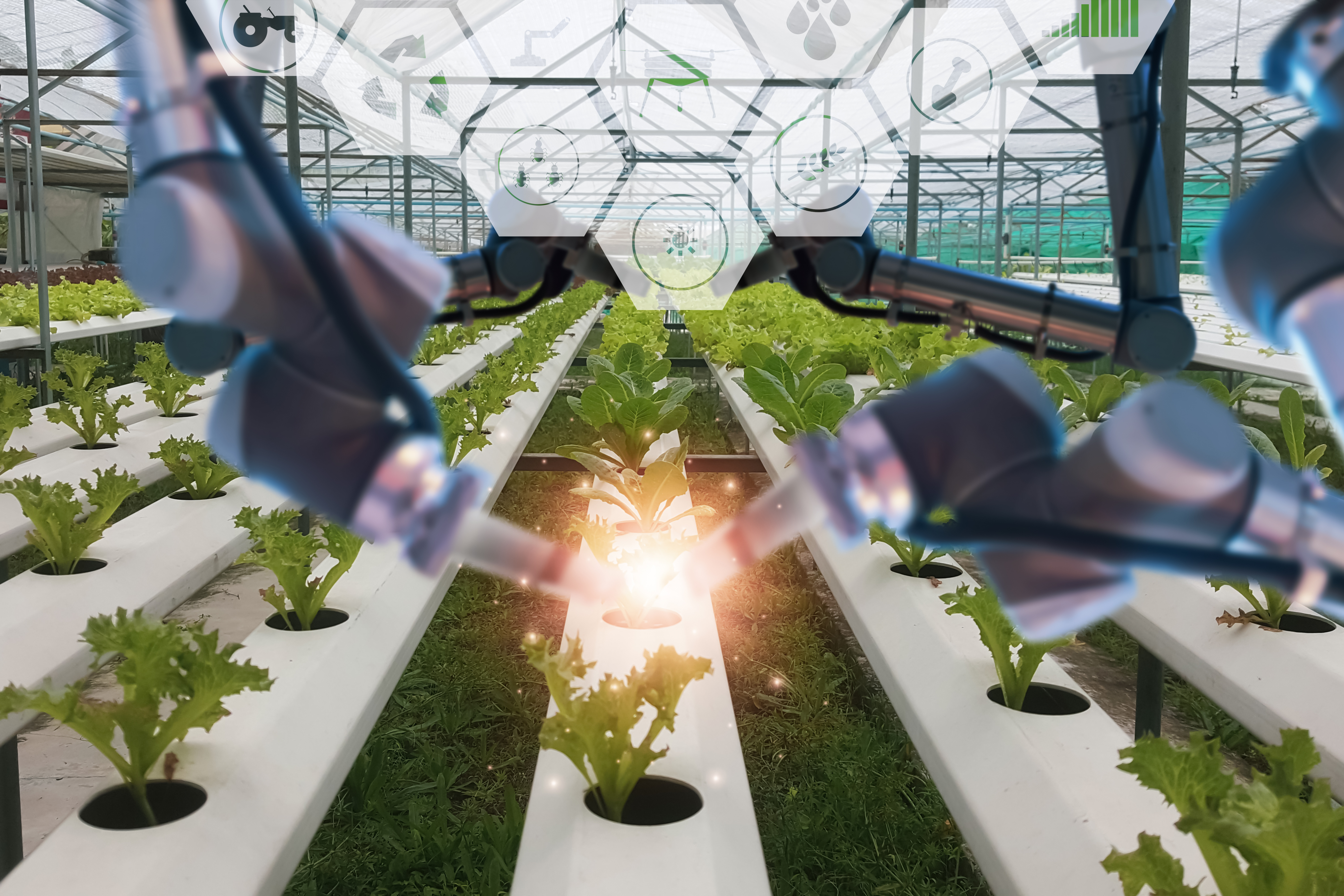 5 Factors Hindering Consumer Product Innovation Speed and Effectiveness