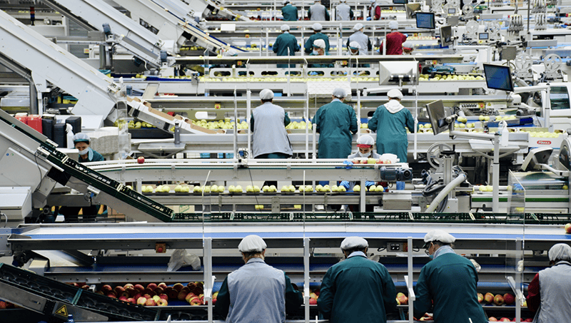 Enabling Predictive Food Safety and Quality Management.