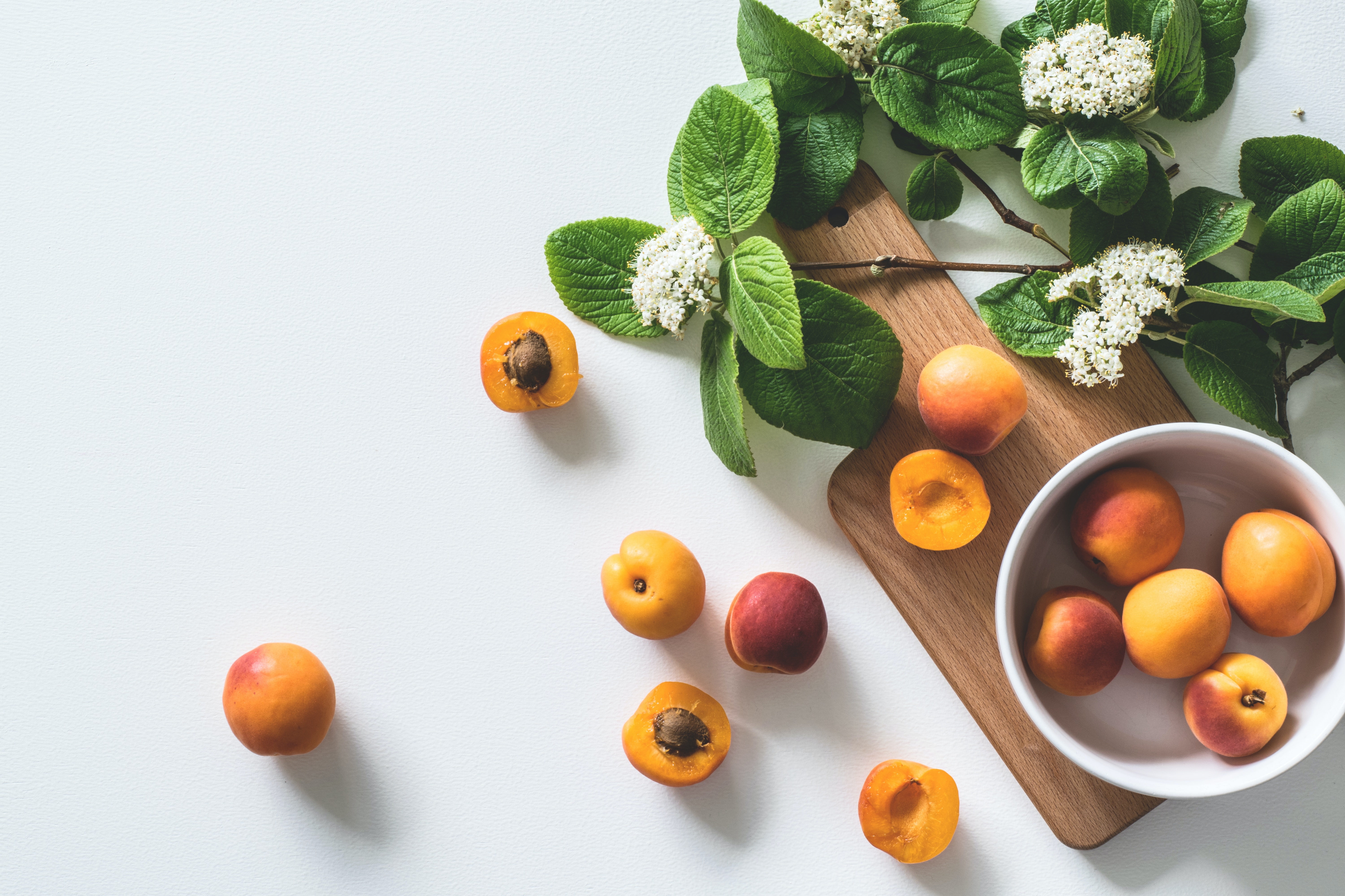 Enhancing HACCP through Digital Innovation